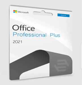 Microsoft Office Professional Plus 2021 License